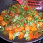 Indo-Chinese